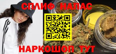 МДПВ Славгород