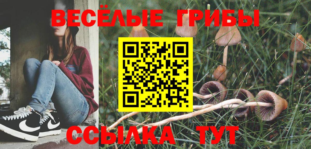 Галлюциногенные грибы GOLDEN TEACHER Ачхой-Мартан